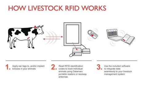 rfid chip implant for cattle|what is rfid used for.